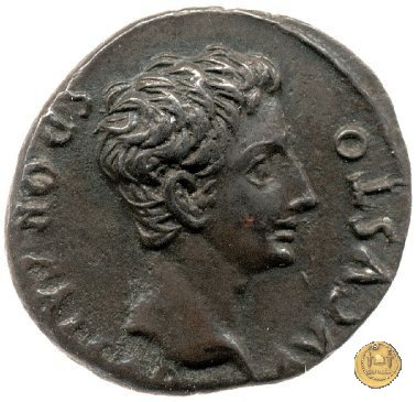 CLM282 18-16 BC (Colonia Patricia?)