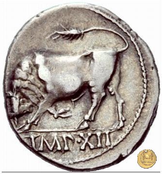 CLM299 11-10 BC (Lugdunum)