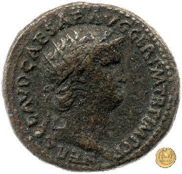 CLM302 64 AD (Roma)