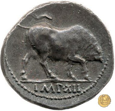 CLM304 11-10 BC (Lugdunum)