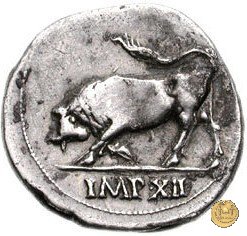 CLM306 11-10 BC (Lugdunum)