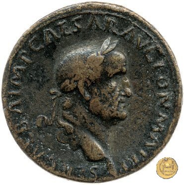 CLM326 68 AD (Roma)