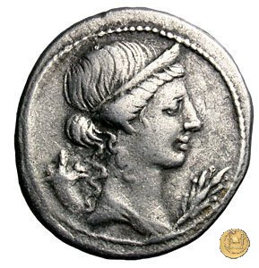 CLM330 32-29 BC (Brundisium e Roma?)