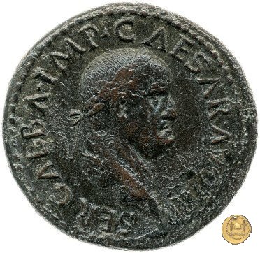 CLM339 68 AD (Roma)