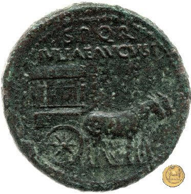 CLM34 22-23 d.C. (Roma)