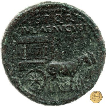 CLM34 22-23 AD (Roma)