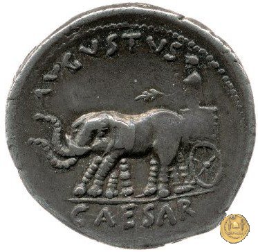 CLM354 19 BC (Roma)
