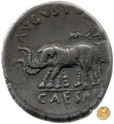 CLM355 19 BC (Roma)