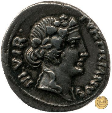 CLM356 19 BC (Roma)