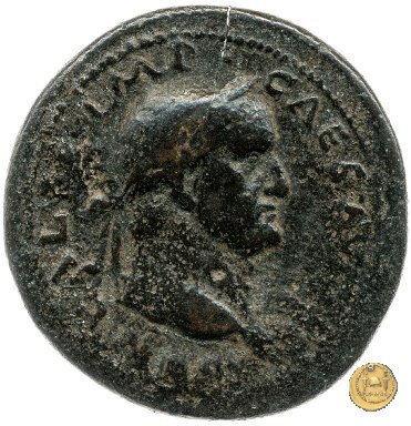 CLM371 68 AD (Roma)