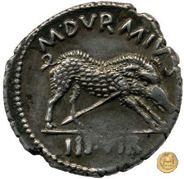 CLM385 19 BC (Roma)