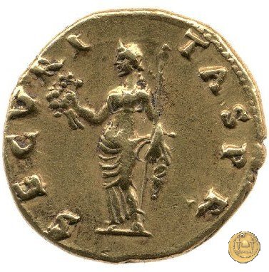 CLM3 69 AD (Roma)
