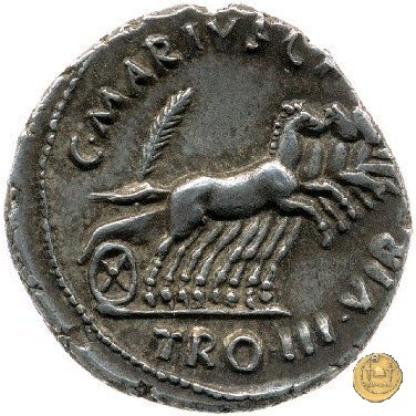 CLM414 13 BC (Roma)