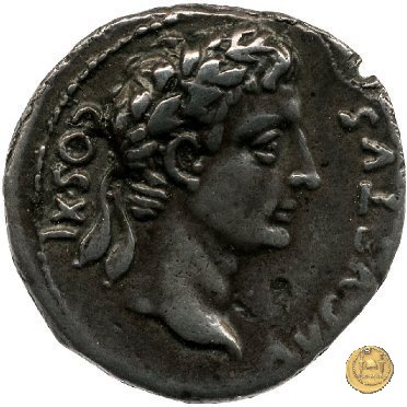 CLM425 12 BC (Roma)