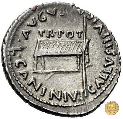 CLM428 12 BC (Roma)