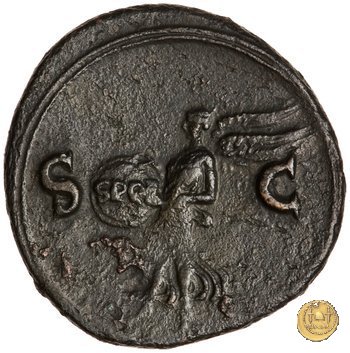 CLM429 65 AD (Roma)