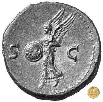 CLM430 65 AD (Roma)