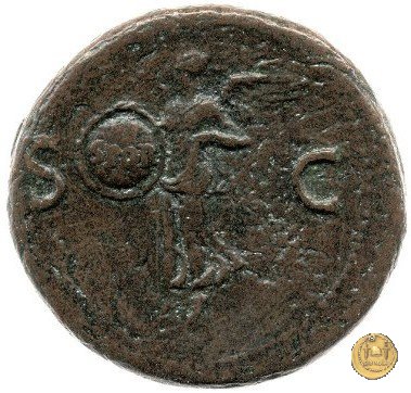 CLM430 65 AD (Roma)