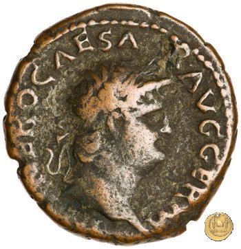 CLM437 66 AD (Roma)