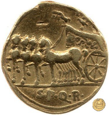 CLM43 19 a.C. (Colonia Patricia?)