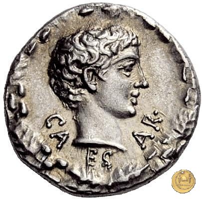 CLM446 17 a.C. (Non Attribuita)