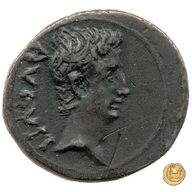 CLM452 25-23 BC (Emerita)