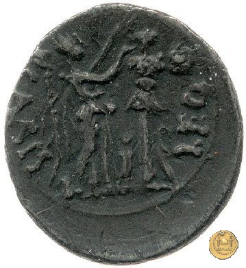 CLM452 25-23 BC (Emerita)