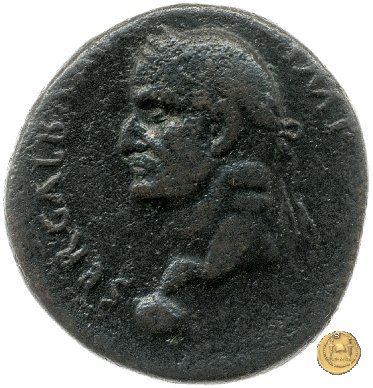 CLM474 68 AD (Tarraco?)