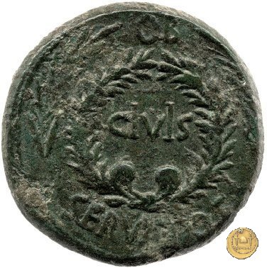 CLM475 17 BC (Roma)