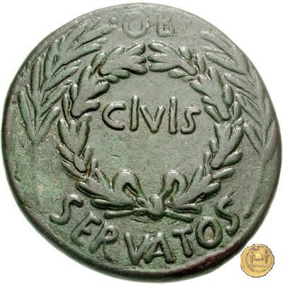 CLM477 16 BC (Roma)