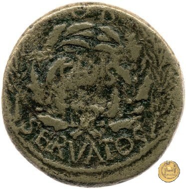 CLM482 15 BC (Roma)