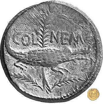 CLM491 20-10 BC (Nemausus)