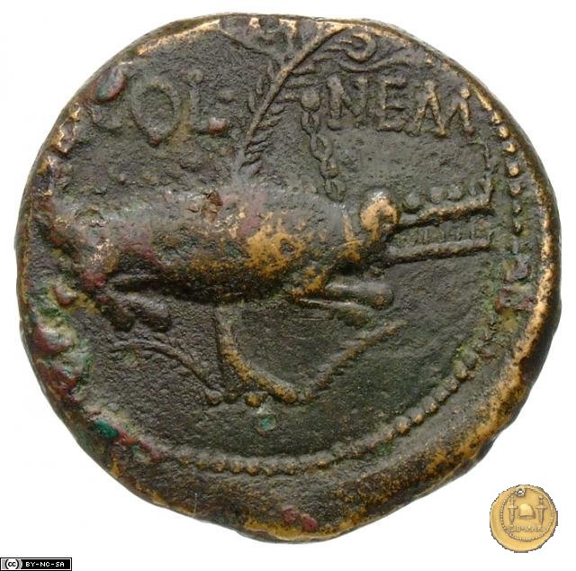 CLM491 20-10 a.C. (Nemausus)