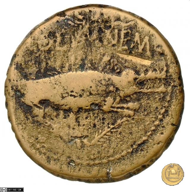 CLM491 20-10 a.C. (Nemausus)