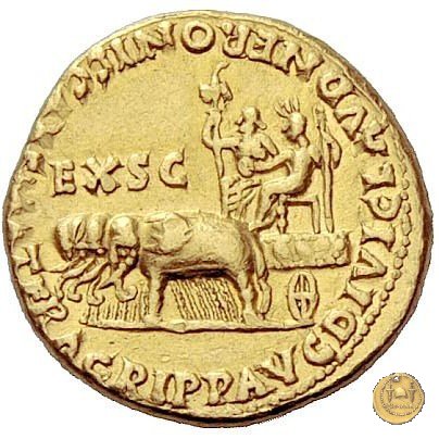 CLM4 55 AD (Roma)