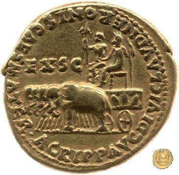 CLM4 55 AD (Roma)