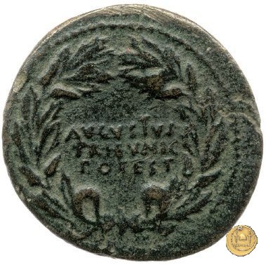 CLM500 18 BC (Roma)