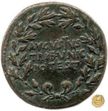 CLM502 18 BC (Roma)