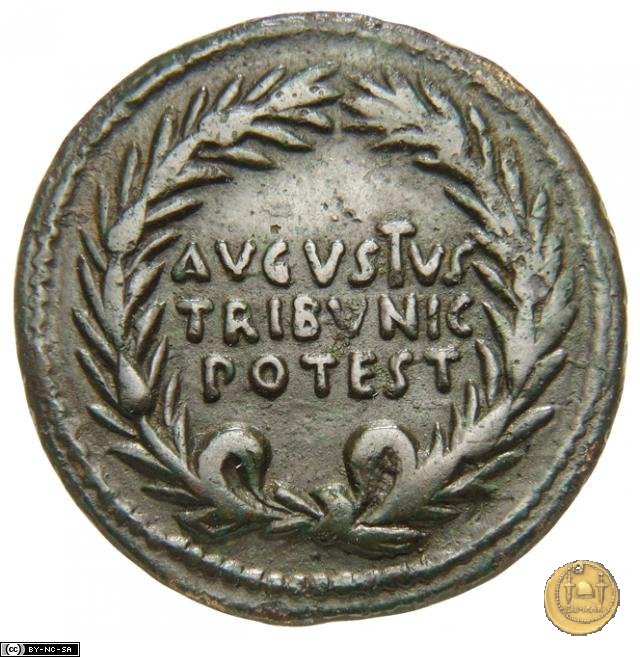 CLM506 17 BC (Roma)