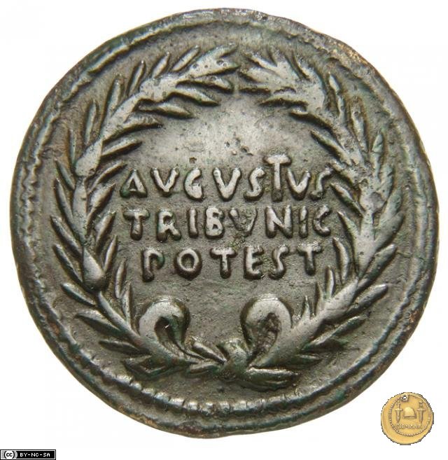 CLM506 17 BC (Roma)