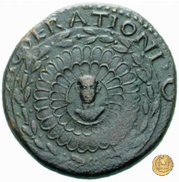 CLM50 16-22 AD (Roma)