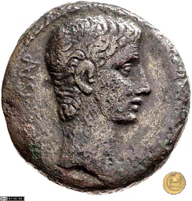 CLM512 28-15 a.C. (Pergamum)