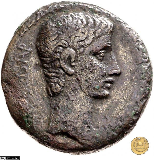 CLM512 28-15 BC (Pergamum)