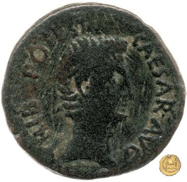 CLM516 25-23 BC (Emerita)