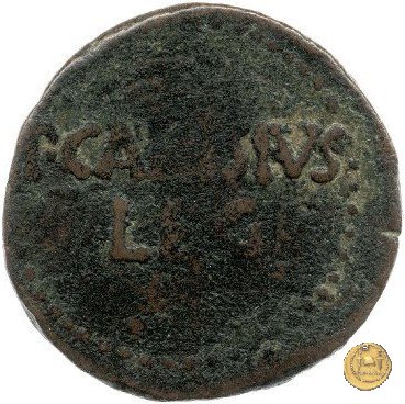 CLM516 25-23 BC (Emerita)