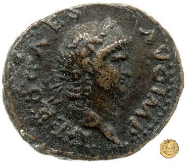 CLM520 64 d.C. (Roma)