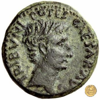 CLM523 25-23 BC (Emerita)