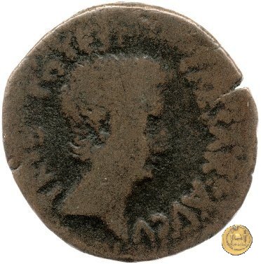 CLM525 25-23 BC (Emerita)