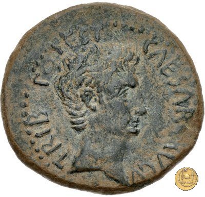 CLM525 25-23 BC (Emerita)