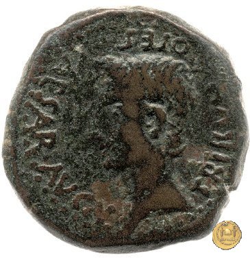 CLM526 25-23 BC (Emerita)